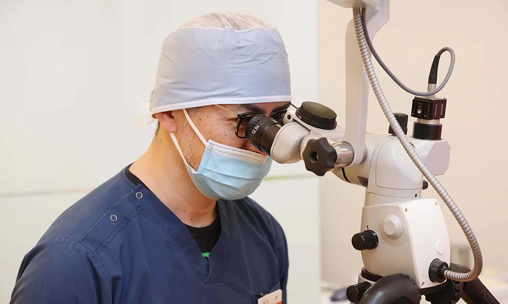 専門性を活かした診療